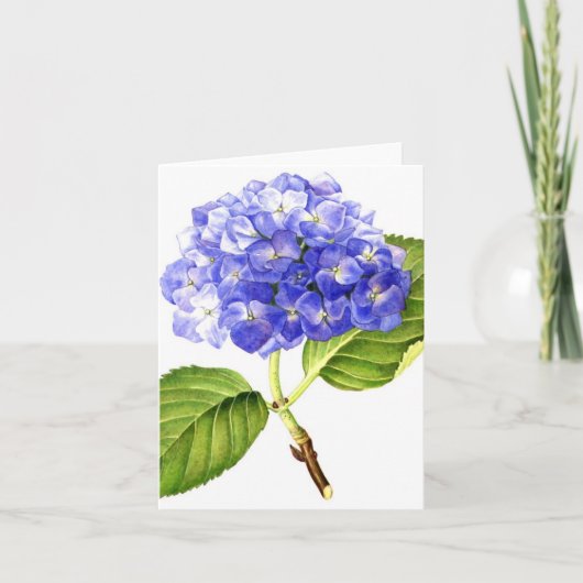 Blauwe Hydrangea hortensia Kaart (Voorkant)