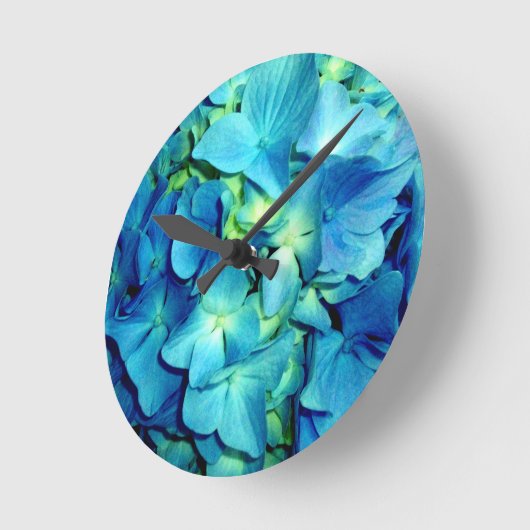 Blauwe Hydrangea hortensia Ronde Klok (Hoek)