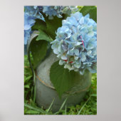 Blauwe hydrangea met Poster van Pitcher (Voorkant)