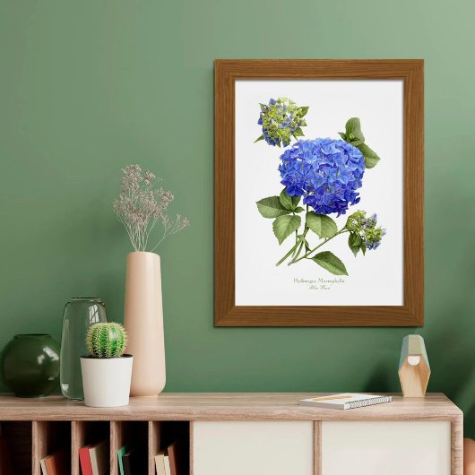 Blauwe hydrangea Originele Kunstafdrukken Poster