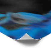 Blauwe hydrangea poster (Hoek)