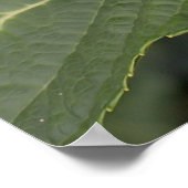 blauwe hydrangea poster (Hoek)