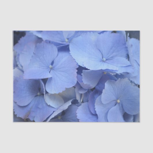 blauwe hydrangea tissuepapier (Voorkant)