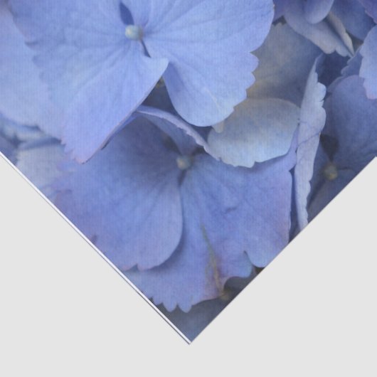 blauwe hydrangea tissuepapier (Detail)
