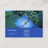 blauwe hydrangea visitekaartje (Achterkant)