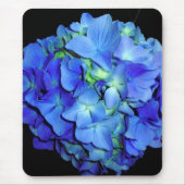 Blauwe hydrangeas, blauwe rozen, elegante blauwe b muismat (Voorkant)