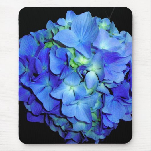 Blauwe hydrangeas, blauwe rozen, elegante blauwe b muismat (Voorkant)