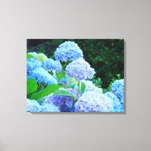 Blauwe hydrangeas Floral Canvas Drukt Aangepast af Afdruk