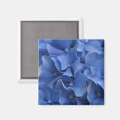 Blauwe Hydrangeas magneet (Voorkant / Achterkant)