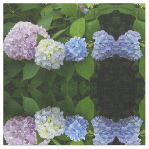 Blauwe hydrangeas, roze hydrangeas, paarse hydrang stof