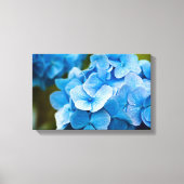 Blauwe hydrangebloem Canvas druk (Voorkant)