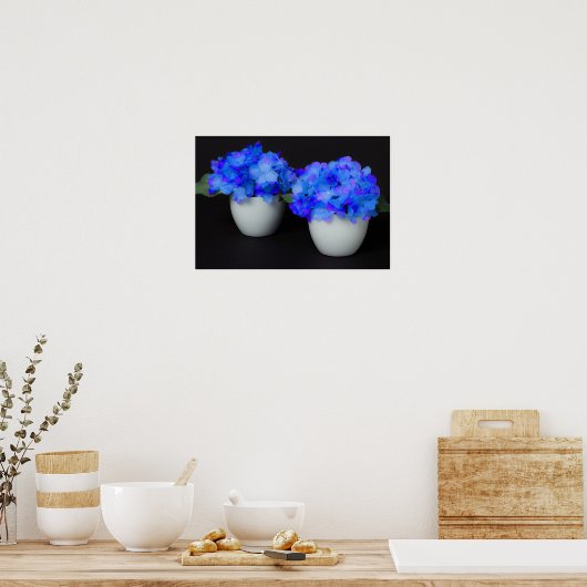 Blauwe hydrangebloemen in witte potten poster (Keuken)