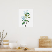  blauwe hydrangebloemen poster (Keuken)