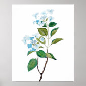  blauwe hydrangebloemen poster (Voorkant)