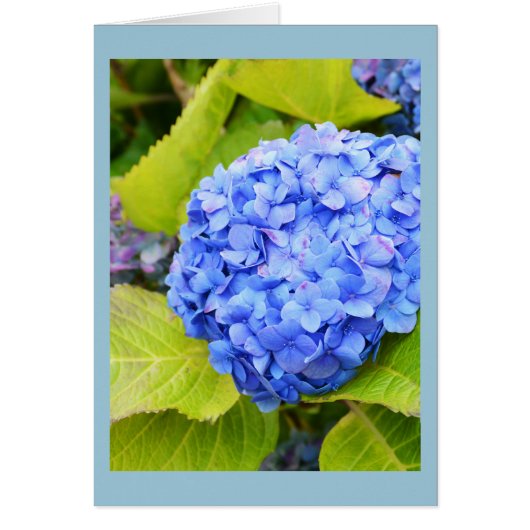 Blauwe hydrangeenkaart (Voorkant)