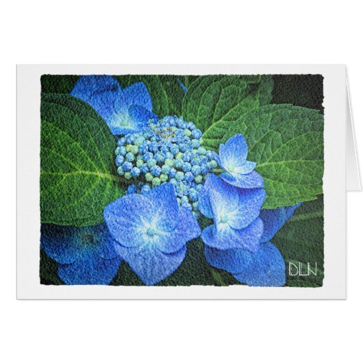 Blauwe hydrangeenventilator/Floral/Waterverf (Voorkant Horizontaal)
