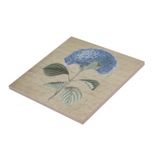 Blauwe hydrangeenventilator op  bergtegel tegeltje (Zijkant)