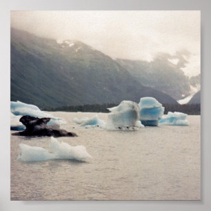 Blauwe ijs poster