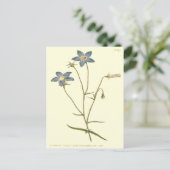 Blauwe illustratie voor lender Bellflower Briefkaart (Staand voorkant)