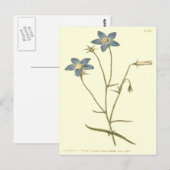 Blauwe illustratie voor lender Bellflower Briefkaart (Voorkant / Achterkant)