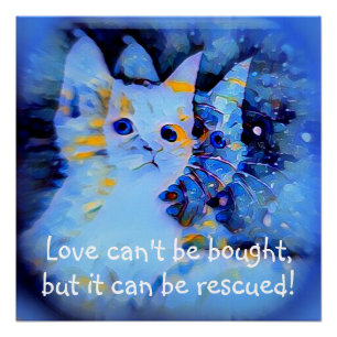 Blauwe impressionistische stijl kitten redding lie perfect poster