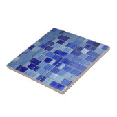 Blauwe indigose tegels voor de azuur tegen kat st tegeltje (Zijkant)