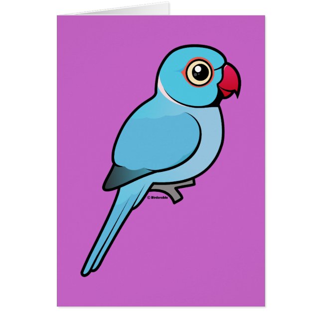 Blauwe Indische ringnek (Voorkant)