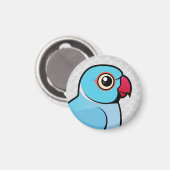 Blauwe Indische ringnek Magneet (Voorkant / Achterkant)