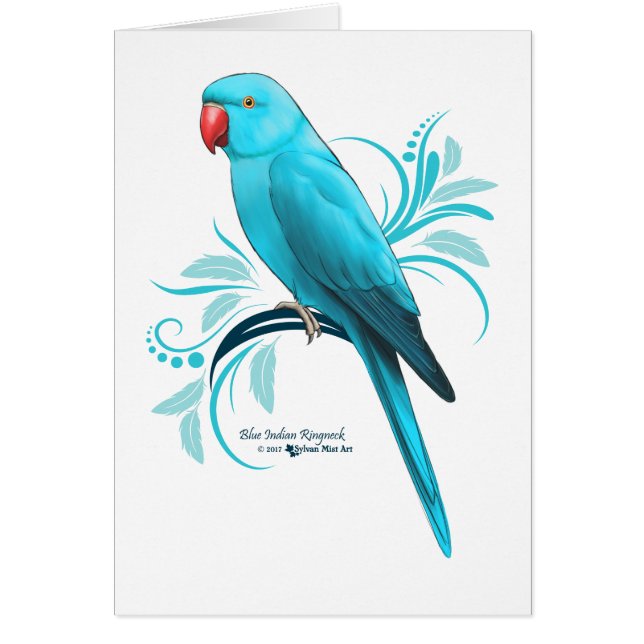 Blauwe Indische ringnek Parrot (Voorkant)