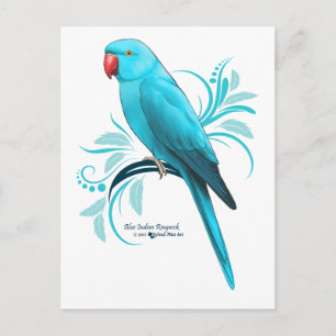 Blauwe Indische ringnek Parrot Briefkaart