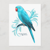 Blauwe Indische ringnek Parrot Briefkaart (Voorkant)