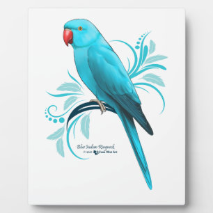 Blauwe Indische ringnek Parrot Fotoplaat