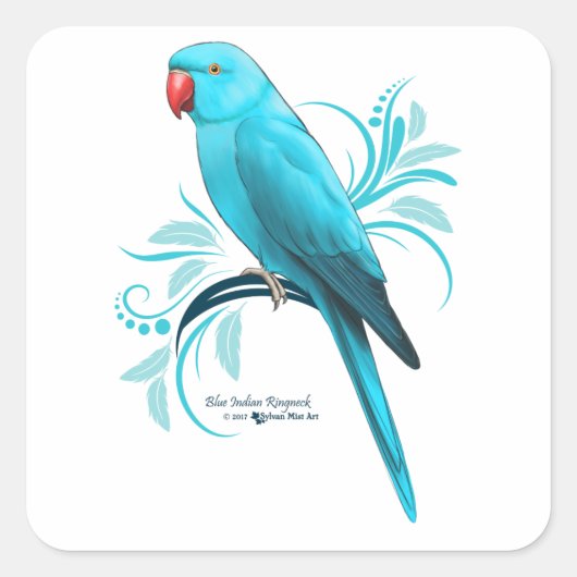 Blauwe Indische ringnek Parrot Vierkante Sticker (Voorkant)