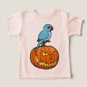 Blauwe Indische Ringnekparkiet op Halloweenpompoen