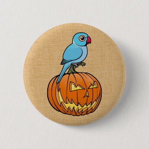 Blauwe Indische Ringnekparkiet op Halloweenpompoen Ronde Button 5,7 Cm