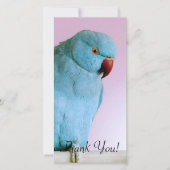 Blauwe Indische ringpoot met rode neus Bedankkaart (Voorkant)