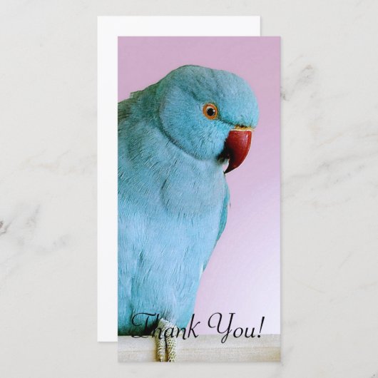 Blauwe Indische ringpoot met rode neus Bedankkaart (Voorkant / Achterkant)