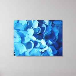 blauwe indruk , hydrangea bloemen canvas afdruk