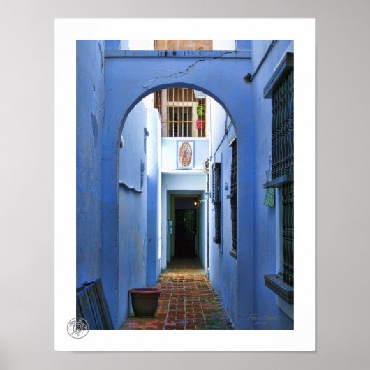 Blauwe ingang poster (Voorkant)