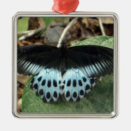 Blauwe Iridescent Mormon Butterfly Metalen Ornament