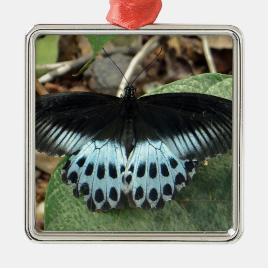 Blauwe Iridescent Mormon Butterfly Metalen Ornament (Voorkant)