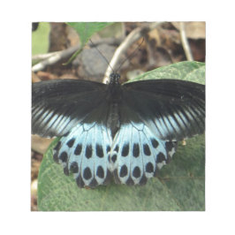 Blauwe Iridescent Mormon Butterfly Notitieblok