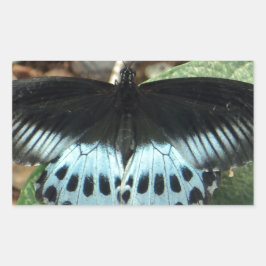 Blauwe Iridescent Mormon Butterfly Rechthoekige Sticker