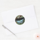 Blauwe Iridescent Mormon Butterfly Ronde Sticker (Envelop)