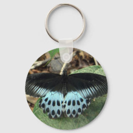 Blauwe Iridescent Mormon Butterfly Sleutelhanger
