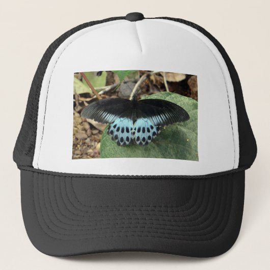 Blauwe Iridescent Mormon Butterfly Trucker Pet (Voorkant)