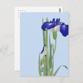 Blauwe IRIES van Ohara Koson Briefkaart (Voorkant / Achterkant)