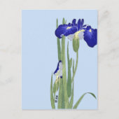 Blauwe IRIES van Ohara Koson Briefkaart (Voorkant)