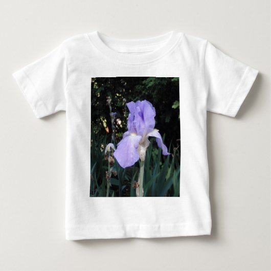 Blauwe Iris (Voorkant)