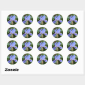 Blauwe iris 3 ronde sticker (Vel)
